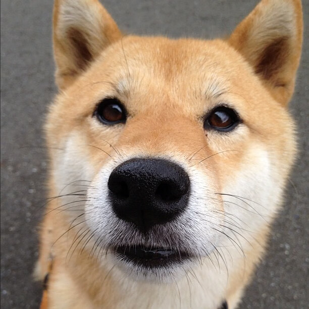 新版篮球联赛规则解析,变化背后的思考与影响,篮球联赛规则表