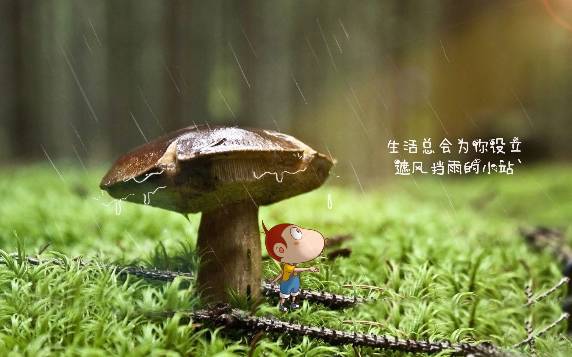 “未来之星：全国青少年足球精英赛引人关注”，校园足球未来之星申报材料2020年