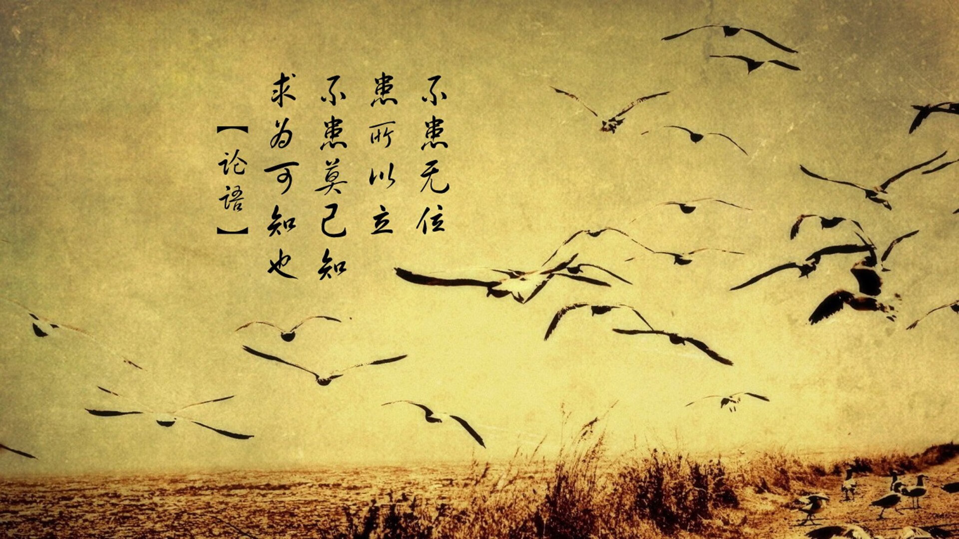 “本土教练崭露头角，中超竞争更激烈”，中超本土教练都有谁