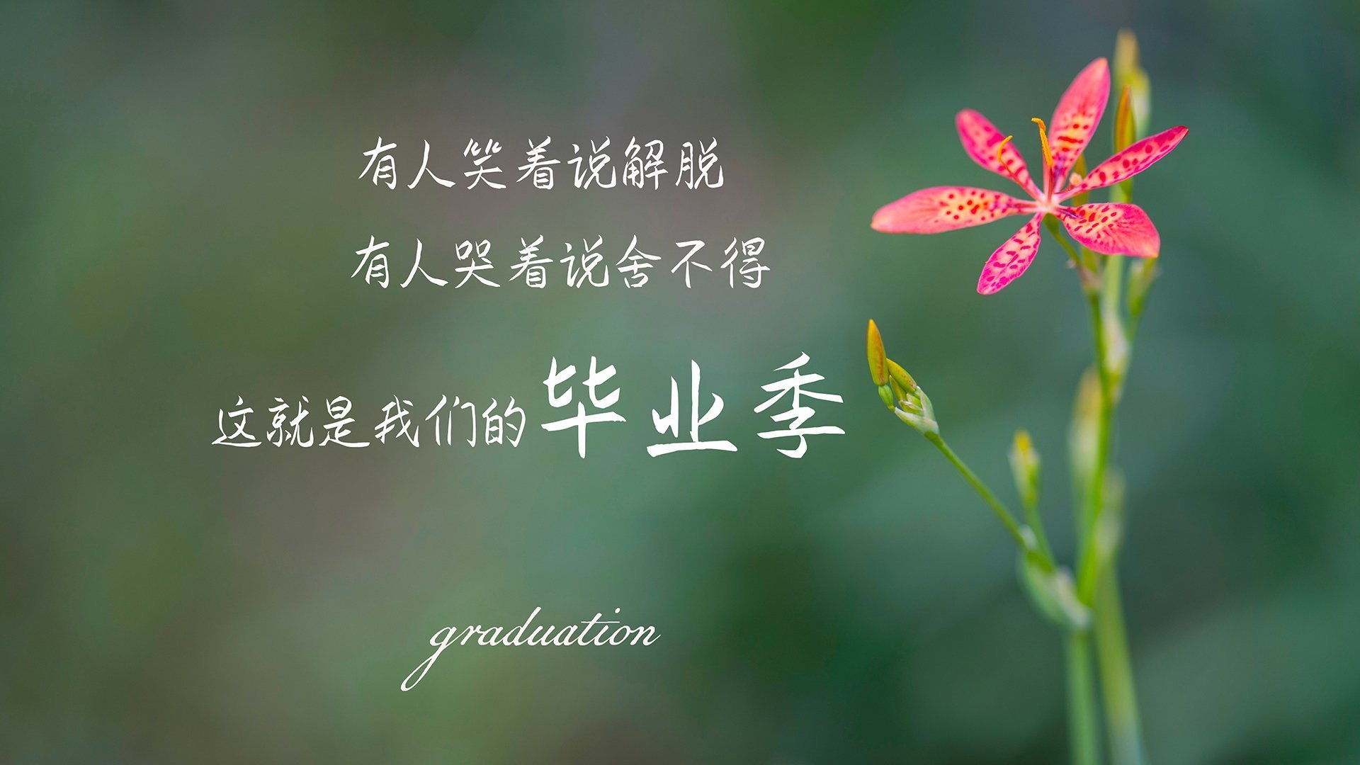 【战术揭秘】马克·塞尔比:以“钢铁防线”困死对方的战术策略