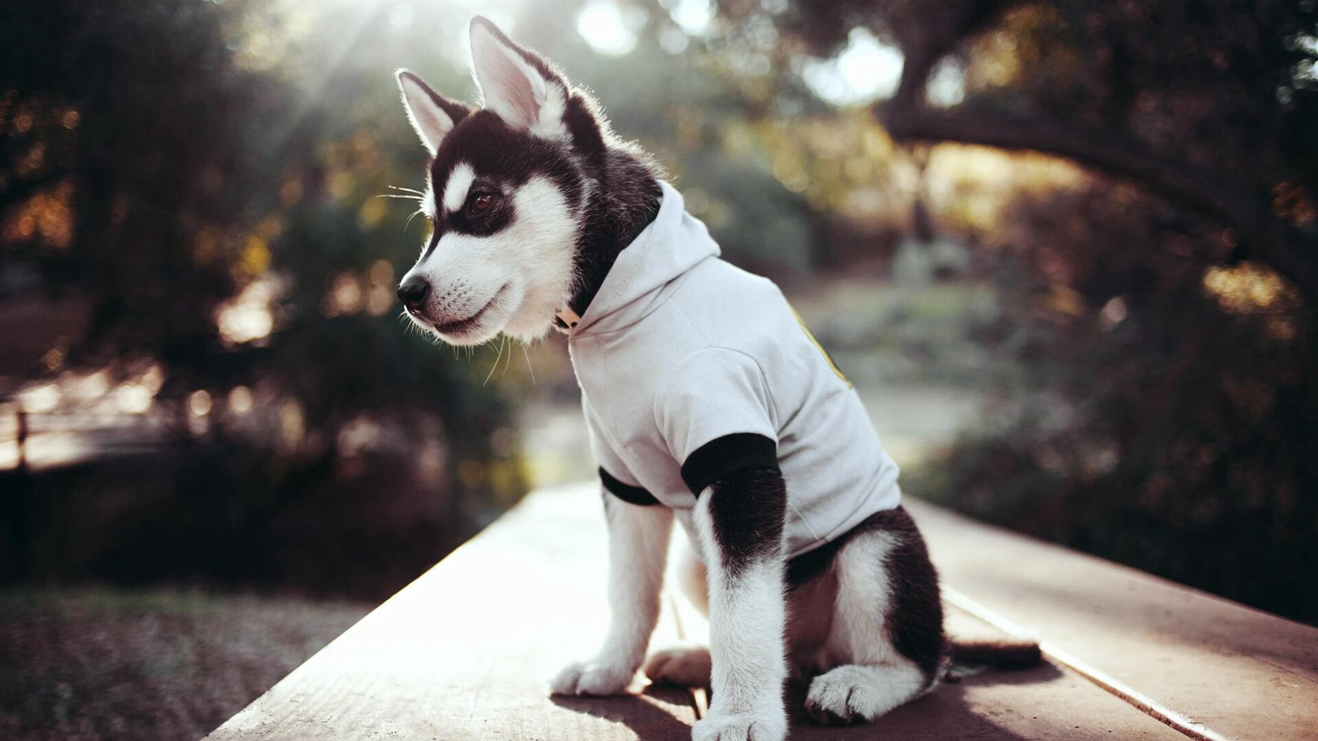 开云体育官方-普拉提教练培训质量参差不齐，亟需规范化管理，普拉提教练培训基地